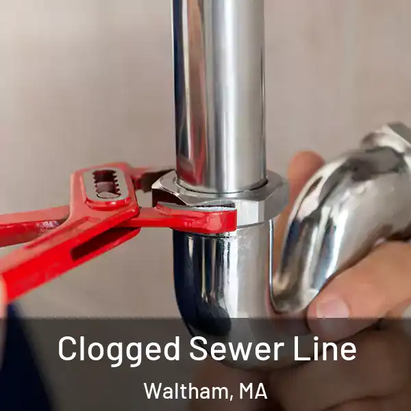  Clogged Sewer Line Waltham, MA