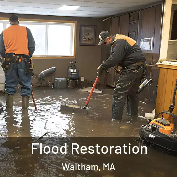  Flood Restoration Waltham, MA