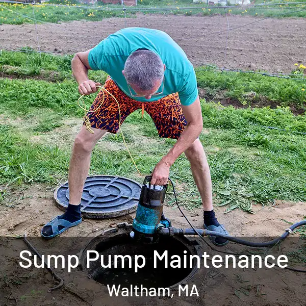  Sump Pump Maintenance Waltham, MA