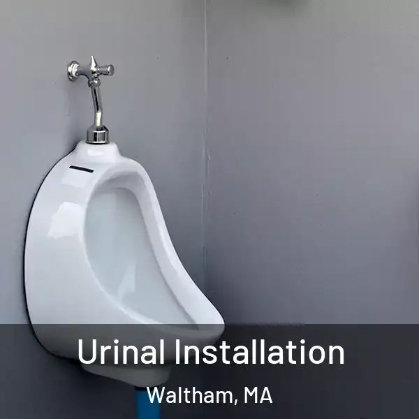  Urinal Installation Waltham, MA